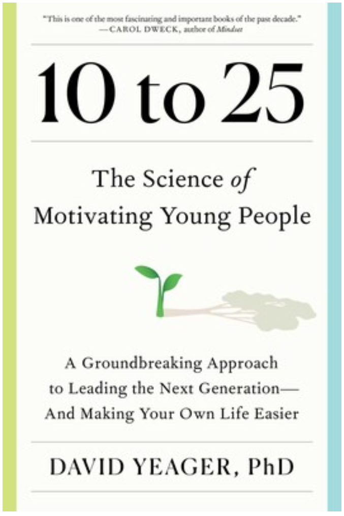 Picture of the book jacket for 10 to 25 the Science of Motivating Young People